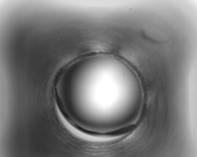 X0000089441261200706221223