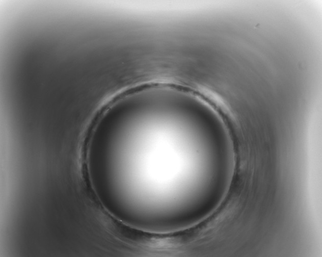 X0000089441264200706221223