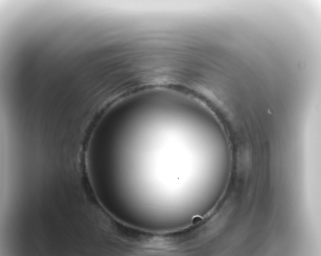 X0000089441265200706221223