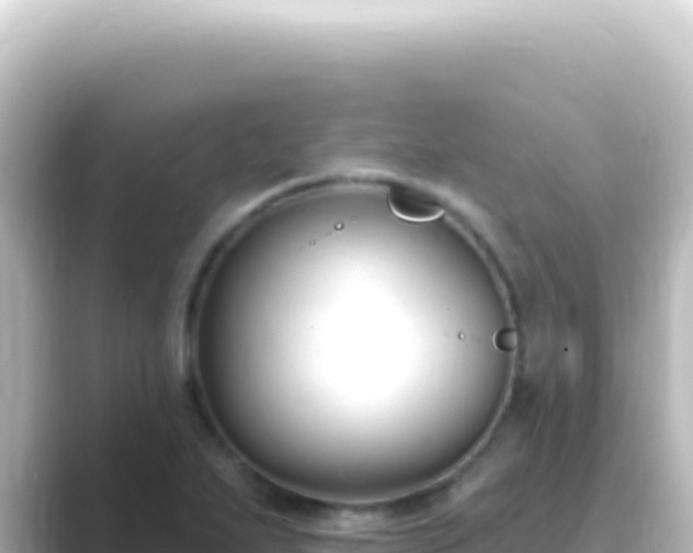 X0000089441271200706221223