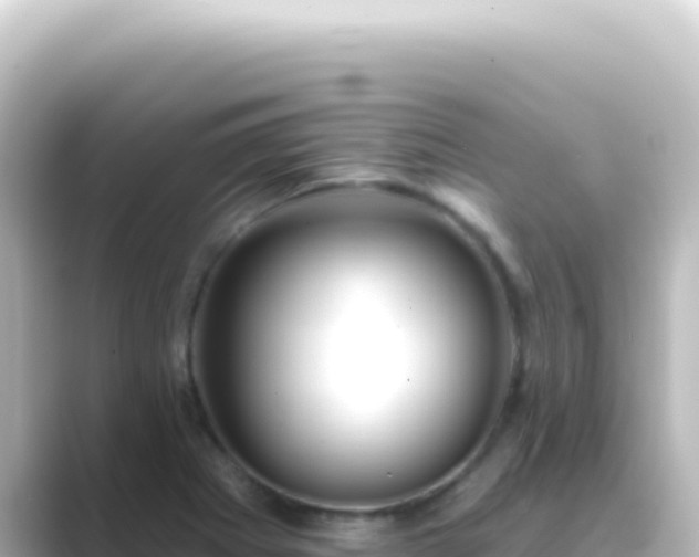 X0000089441273200706221222