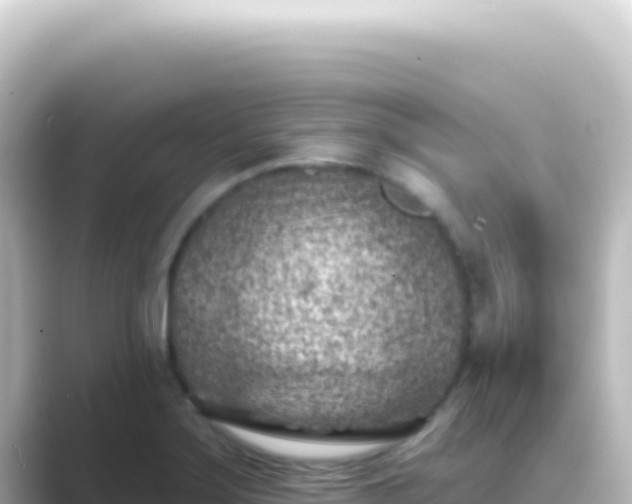 X0000089441275200706221222