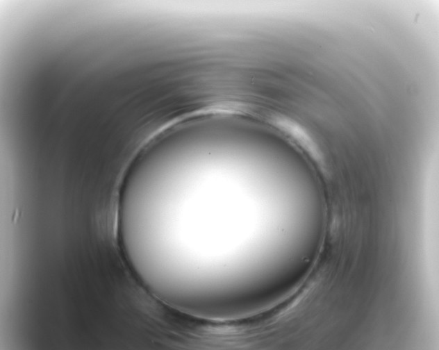 X0000089441276200706221222