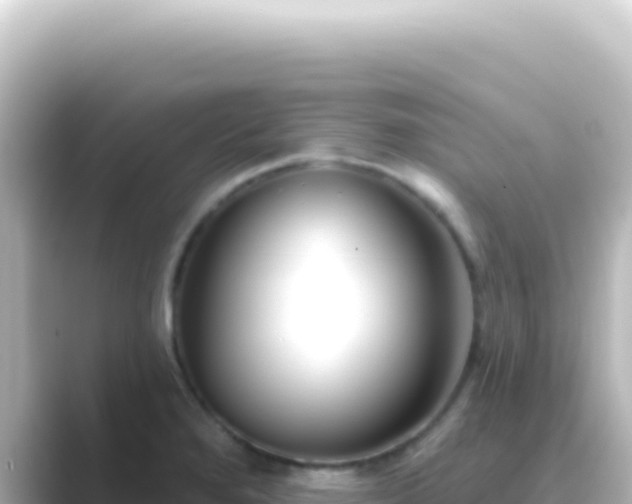 X0000089441280200706221222