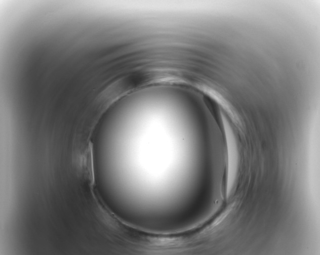 X0000089441281200706221222