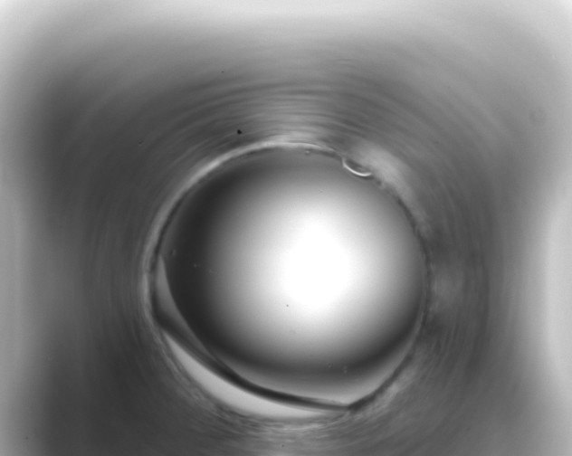 X0000089441284200706221222