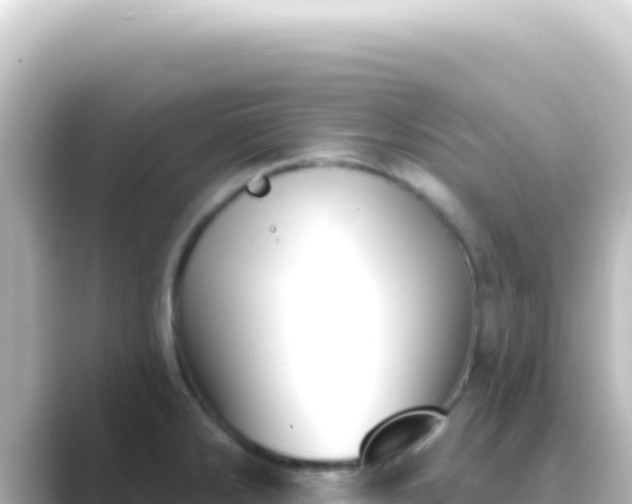 X0000089441286200706221222