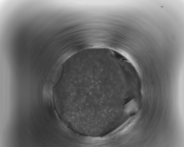X0000089441289200706221222