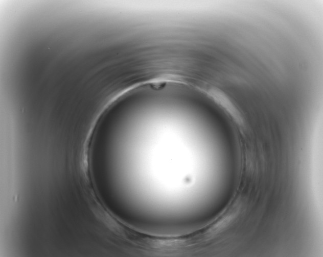 X0000089441292200706221222