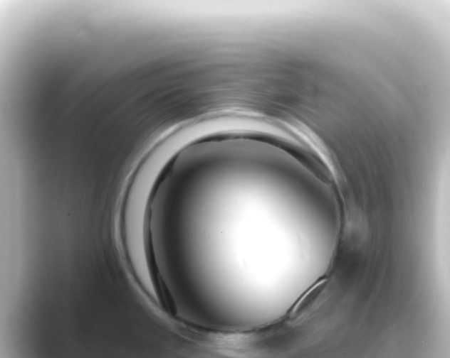 X0000089441293200706221222