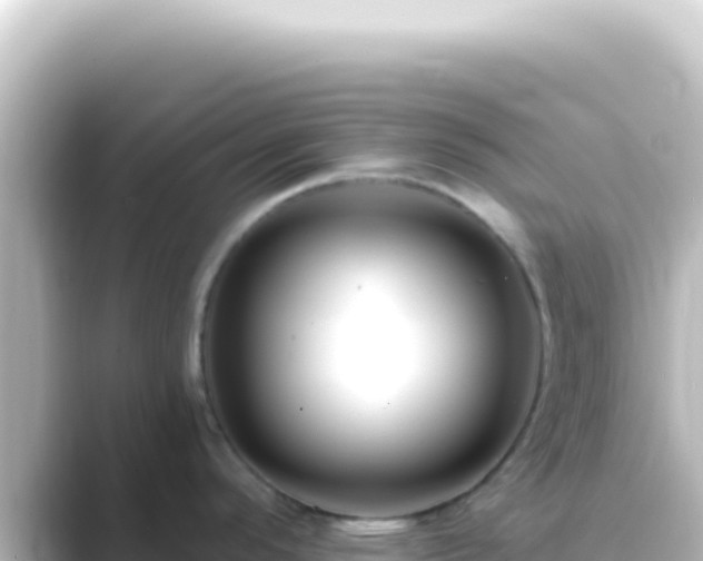 X0000089441296200706221222