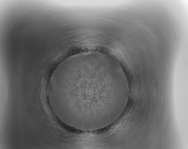 X0000089441297200706221222