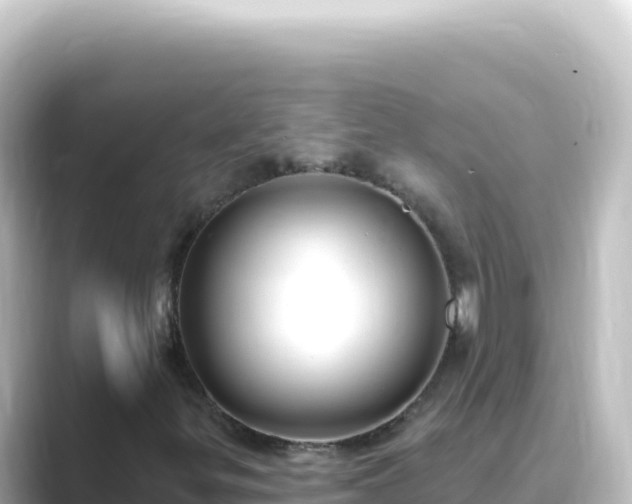 X0000089441299200706221222