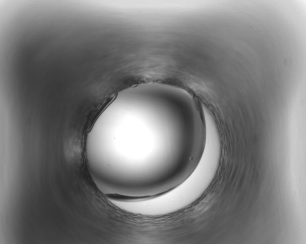 X0000089441300200706221222