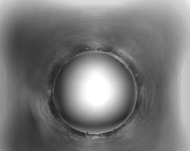 X0000089441302200706221222