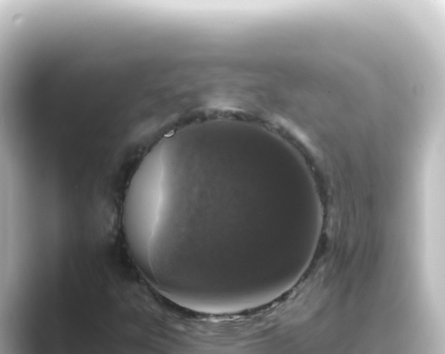 X0000089441303200706221222
