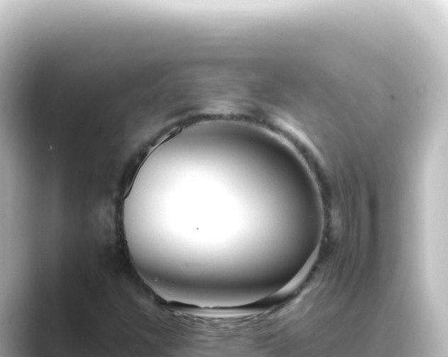 X0000089441304200706221222
