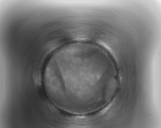 X0000089441306200706221222