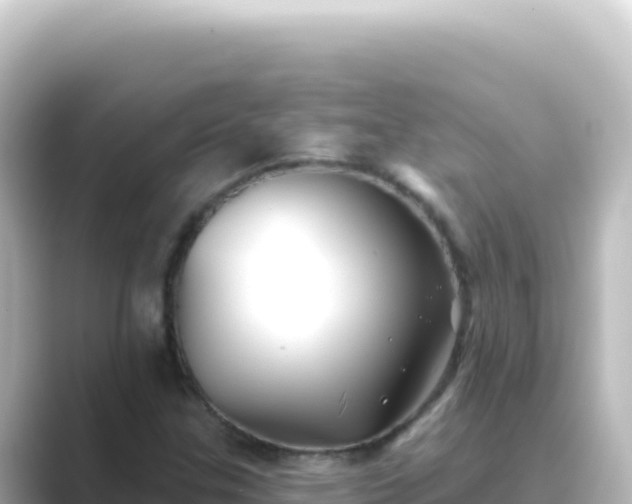 X0000089441307200706221222