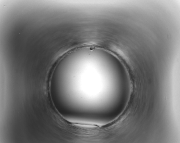 X0000089441308200706221222