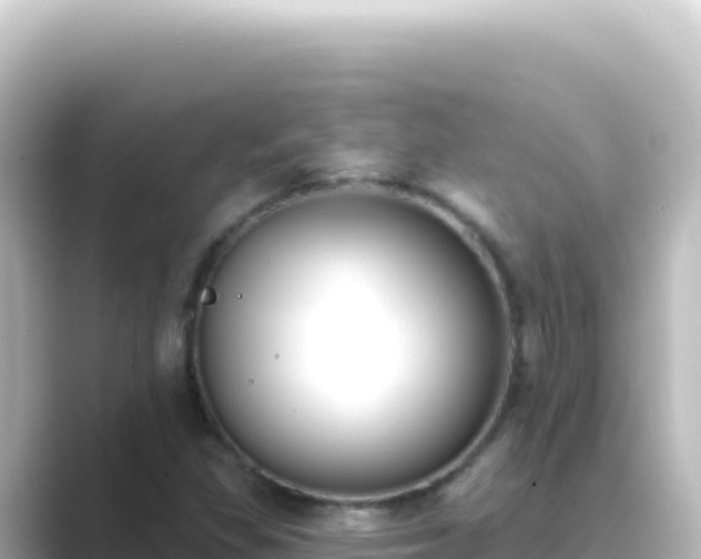 X0000089441309200706221222