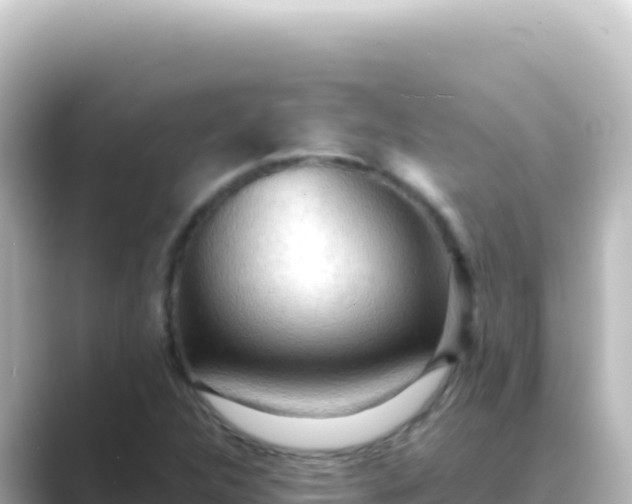 X0000089441312200706221222