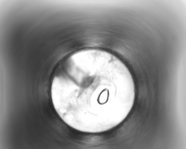 X0000089441314200706221222