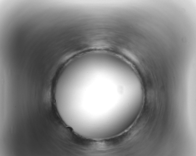 X0000089441315200706221222