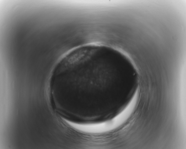 X0000089441319200706221222