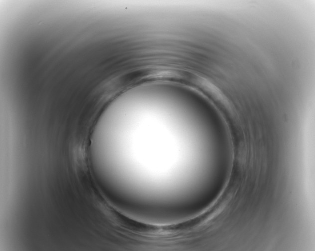 X0000089441321200706221222