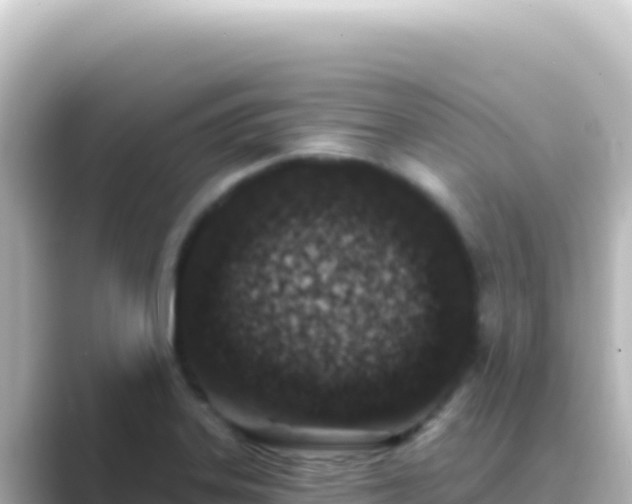 X0000089441323200706221222