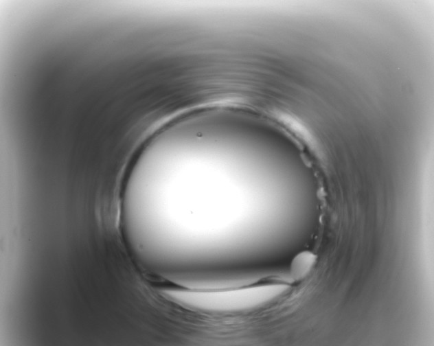 X0000089441324200706221222