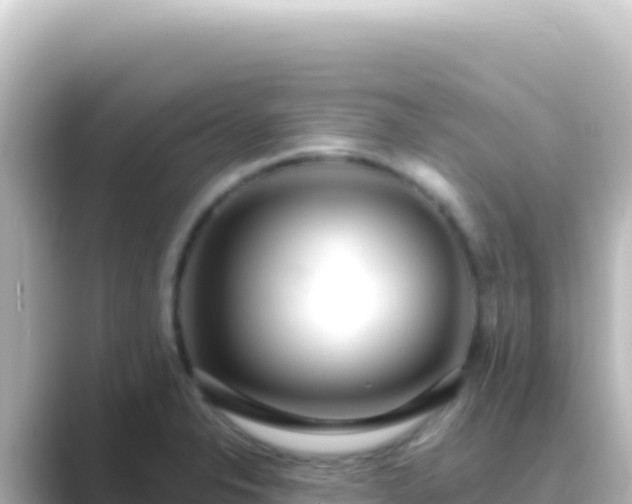 X0000089441326200706221222