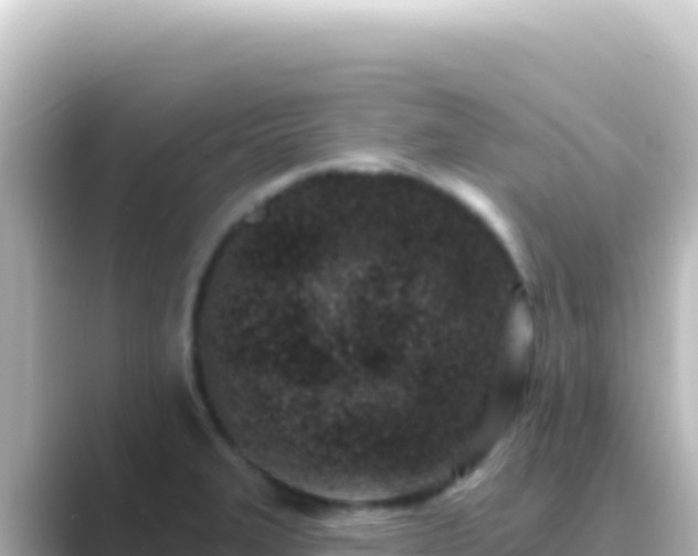 X0000089441327200706221222