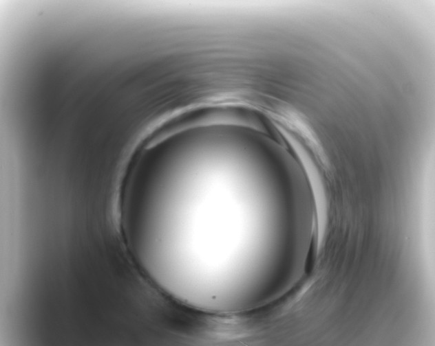 X0000089441328200706221222