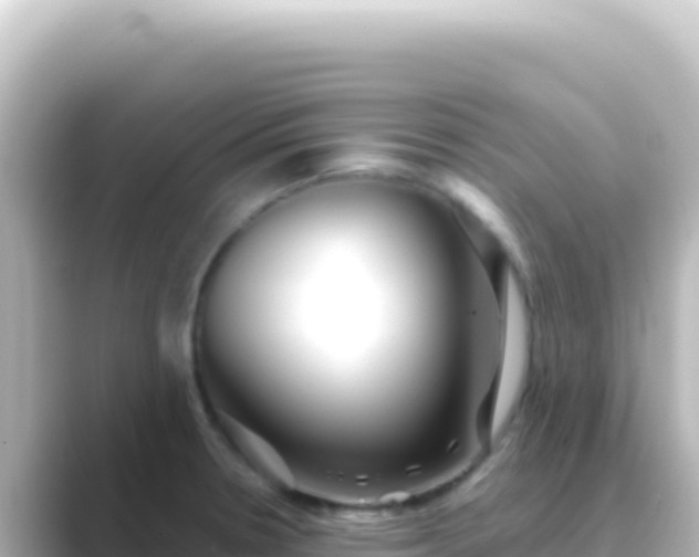 X0000089441330200706221222
