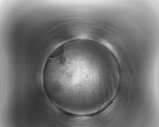 X0000089441331200706221222