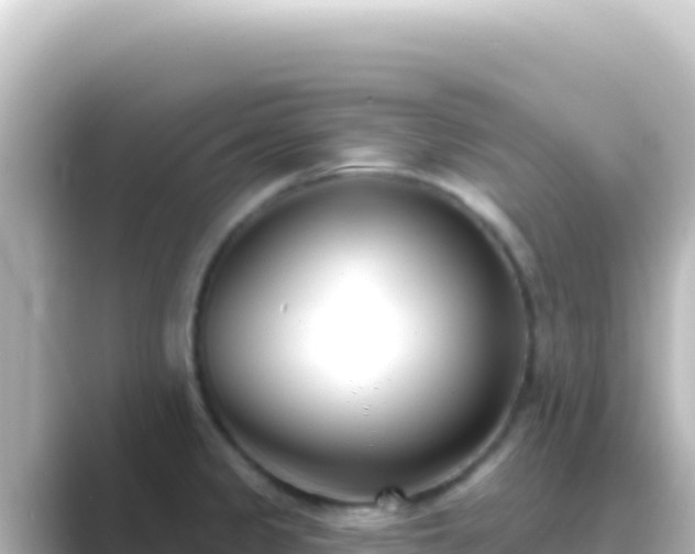 X0000089441333200706221222