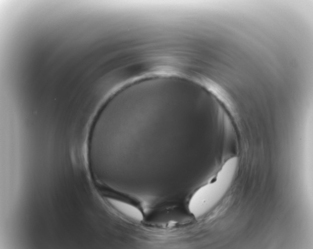 X0000089441334200706221222