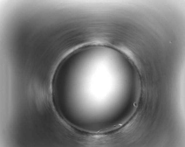 X0000089441335200706221222