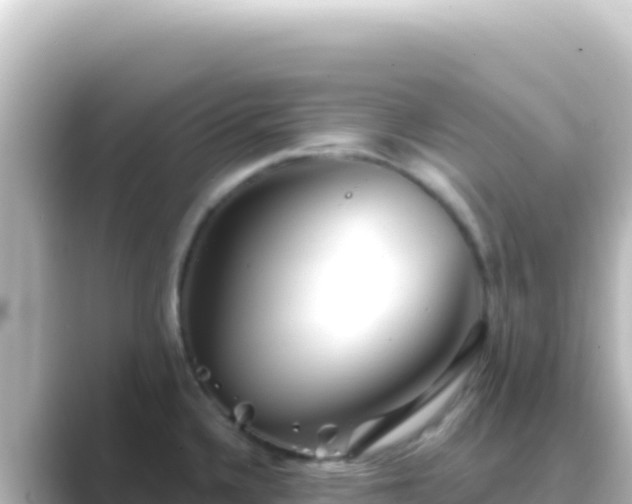 X0000089441336200706221222