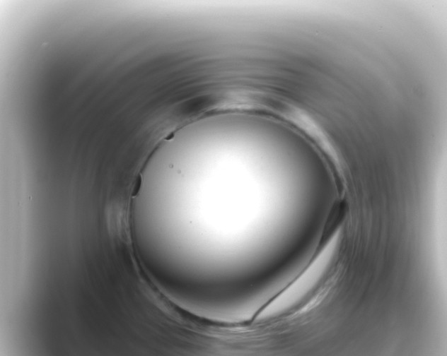 X0000089441337200706221222