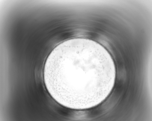 X0000089441338200706221222