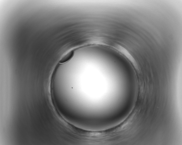 X0000089441339200706221222
