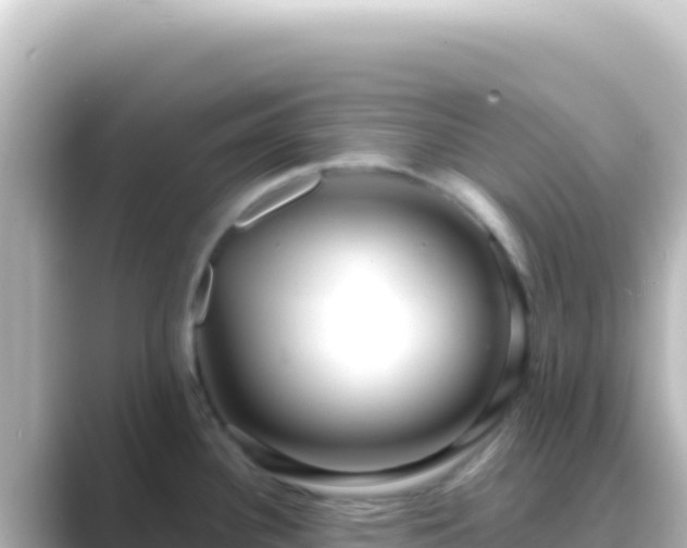 X0000089441340200706221222