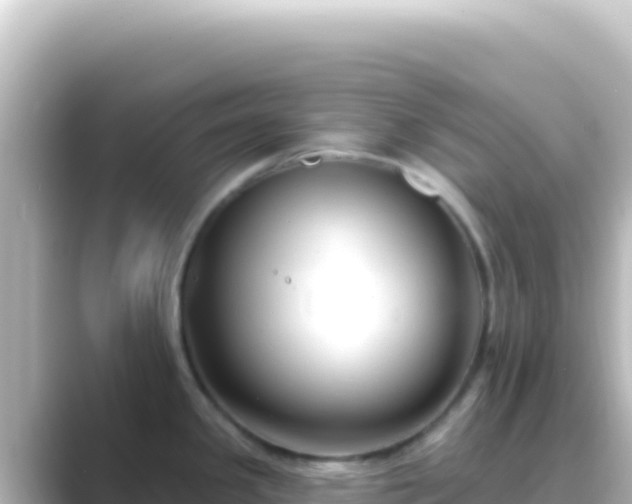 X0000089441341200706221222