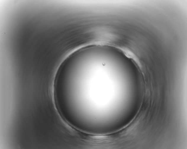 X0000089441343200706221222