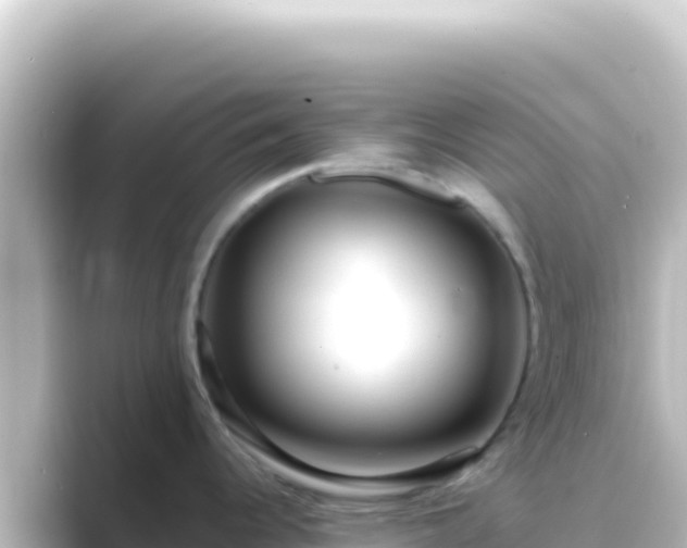 X0000089441344200706221222