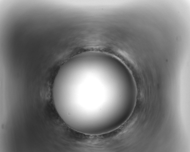 X0000089441350200706221222