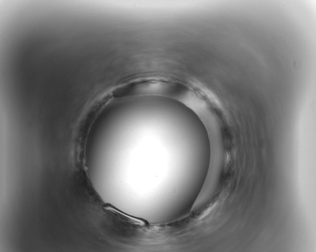 X0000089441352200706221222
